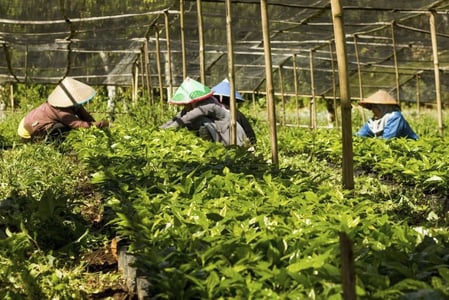 Brand+Promise%3A+Leveraging+Technology