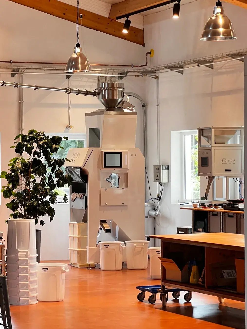 Pearl Mini color sorter in a roastery