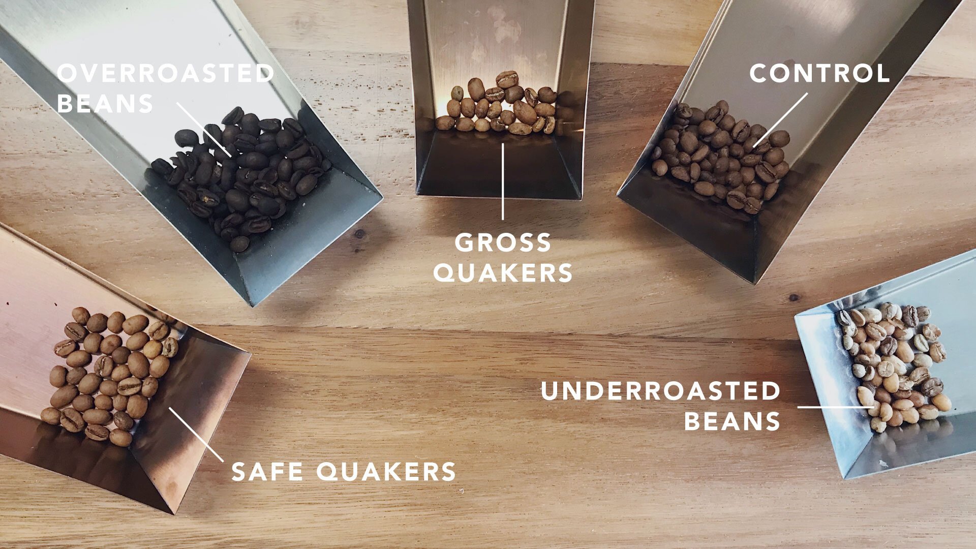 How Do I Know If My Coffee Beans are Bad: Quick Signs to Spot 6 How Do I Know If My Coffee Beans are Bad: Quick Signs to Spot