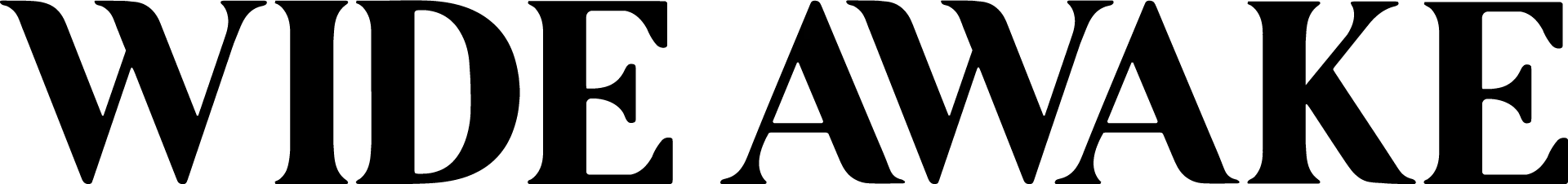 Wide Awake Shop logo